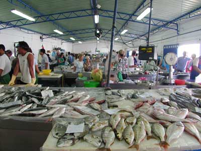 Quarteira Lota Market