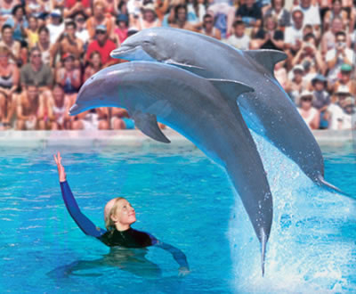Zoomarine in Vilamoura